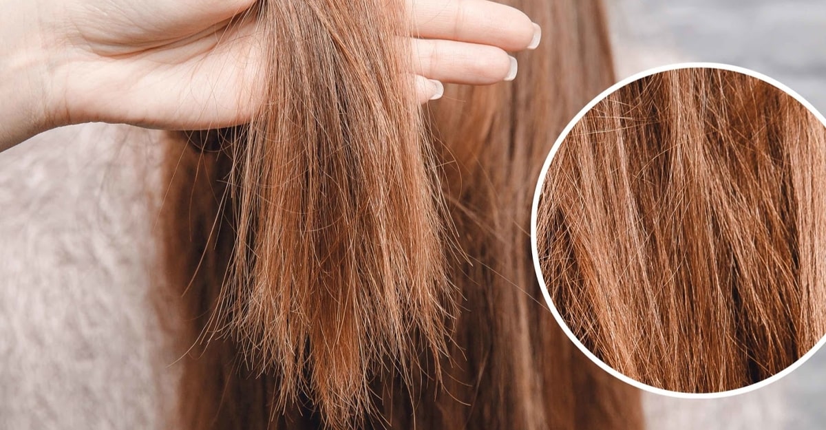 Tóc bị chẻ ngọn có nên cắt? 5+ cách ngăn ngừa tóc chẻ ngọn