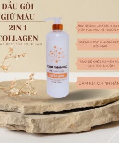 Dầu gội giữ màu Collagen 2in1 Color Shampoo